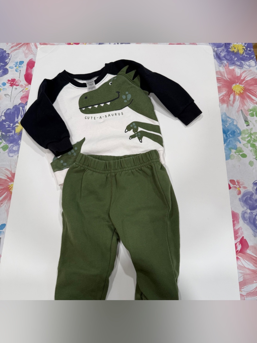 Carter’s two-piece sweatsuit featuring dinosaurs 9 to 12 months boys